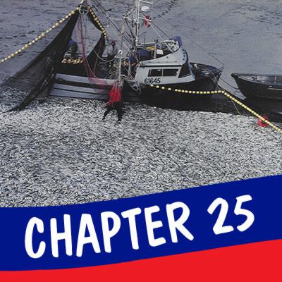 Chapter 25: The Herring Circuit
