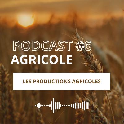EPISODE #6 - Les productions agricoles