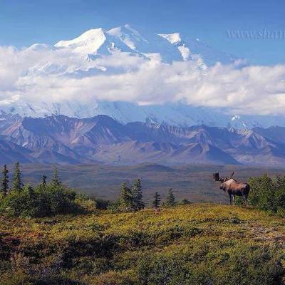 Not a Pandemic, but more like a Scamdemic Not a Pandemic, but more like a Scamdemic