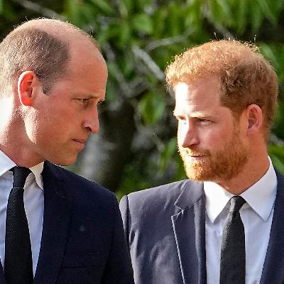 Harry, William und Co. – ganz normale Geschwister?