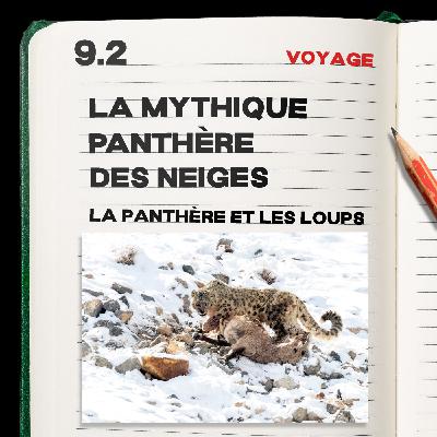 #9.2 La mythique Panthère des neiges