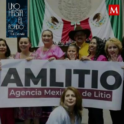 El litio es nuestro y Delgadín ataca