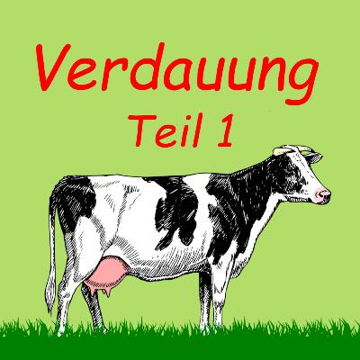 Grundlagen Verdauung - Teil 1