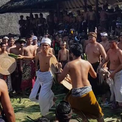 Info Budaya Bali - Tradisi Perang Pandan Desa Tenganan Pegringsingan