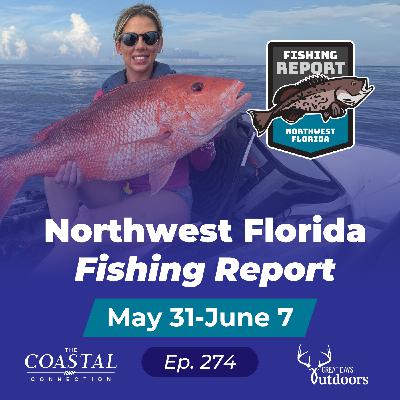 Chunking for Snapper, Wakebaits for Inshore and How to Plan a Trip Like a Pro