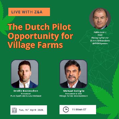 The Dutch Pilot Opportunity for VFF