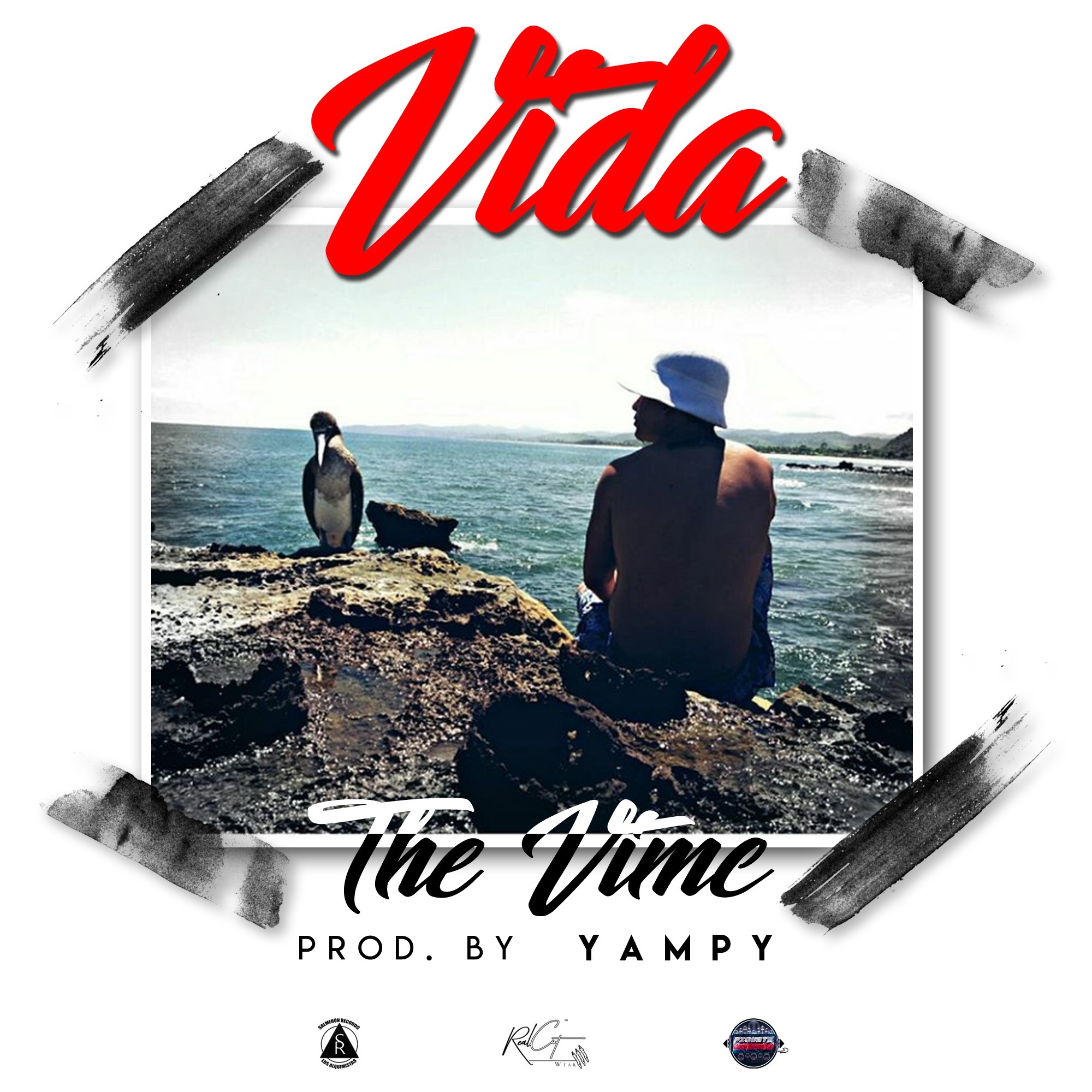 The Vimc - Vida