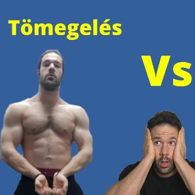 Tömegelés Vagy Szálkásitás - Az Örök Dilemma Megoldása