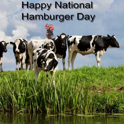 This Week's Funny News