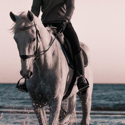 Caroline, cavalière et propriétaire. Quelles relations avec les professionnels de santé pour son cheval? (Rediffusion)