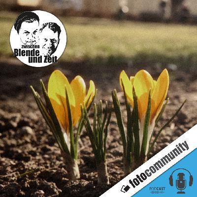 459 - Rausgehen, hinschauen, fotografieren – warum der Frühling unsere Wahrnehmung wieder öffnet