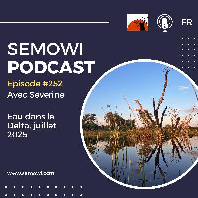 Eau dans le Delta en juillet 2025
