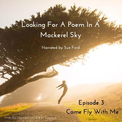 Come Fly With Me Come Fly With Me