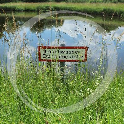 LRT07 Kleingewässer ganz groß LRT07 Kleingewässer ganz groß