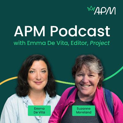 From project to programme management: how to make the move successfully