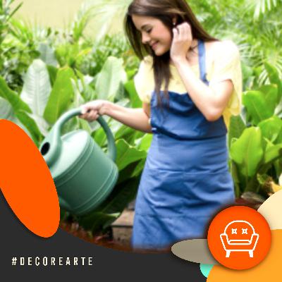 Decor e Arte - Como cuidas das plantas nessa época do ano