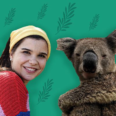 Koalas – Knuddelige Beuteltiere aus Australien