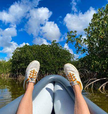 Close encounters of the creature kind Close encounters of the creature kind