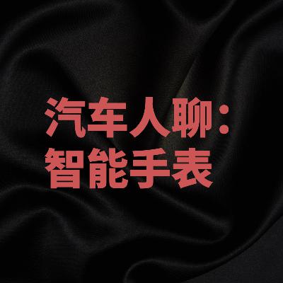 3. 汽车人怎么看智能手表