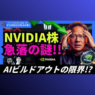 【NVIDIA株下落に困惑】売上10兆円超・予想上回りも決算翌日5%安—株価が市場に告げる「警告」の予兆 ＃301