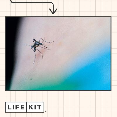 How to avoid mosquito bites