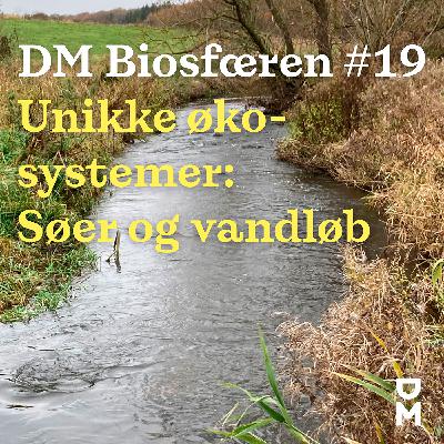 DM Biosfæren: Sådan får vi nyt liv i søer og åer DM Biosfæren: Sådan får vi nyt liv i søer og åer