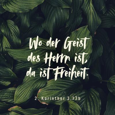 Bist auch du gefangen?