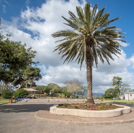 חלק ראשון תכנית  שירים  מתורגמים 175