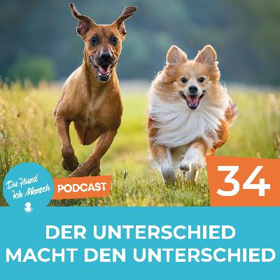 34# Der Unterschied macht den Unterschied 34# Der Unterschied macht den Unterschied