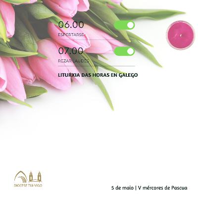 Tempo de Pascua | V Mércores