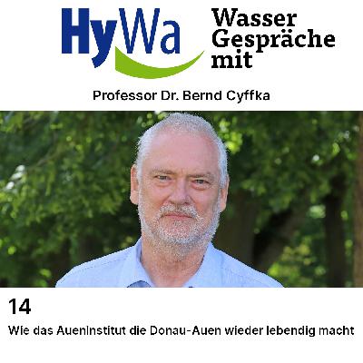 Wie das Aueninstitut die Donau-Auen wieder lebendig macht