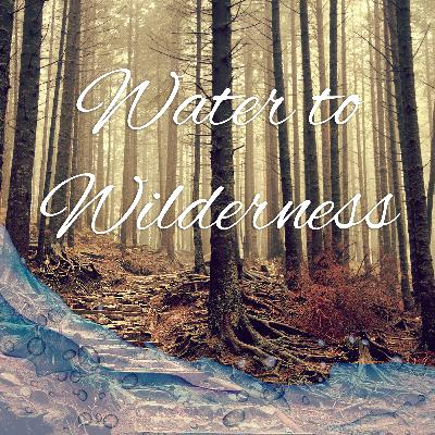 Sermon - Water to Wilderness