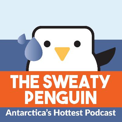 132. Polar Bears