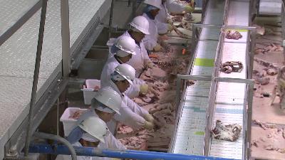 Legislation to Address Anti-Competitive Practices in Meat Processing Industry Reintroduced Legislation to Address Anti-Competitive Practices in Meat Processing Industry Reintroduced