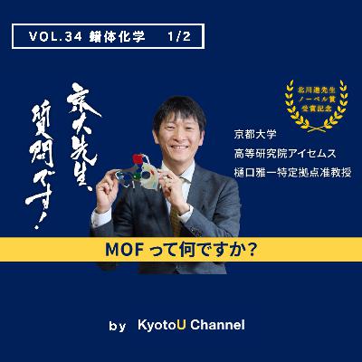 VOL34　錯体化学1/2　ノーベル化学賞記念「MOFって何ですか？」樋口雅一特定拠点准教授