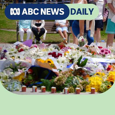 Jewish leaders’ call to action after the Bondi massacre
