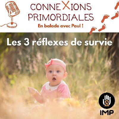 Les 3 réflexes de survie