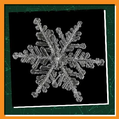 The Snowflake Man The Snowflake Man