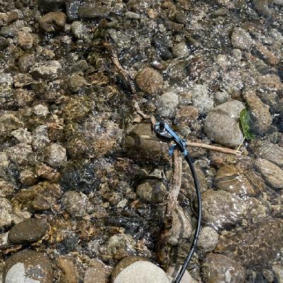 River through wood, Boise River, USA on 22nd June 2025 – by Ariana Martinez