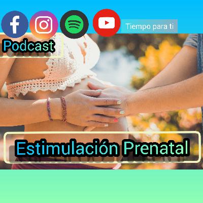 Estimulación prenatal