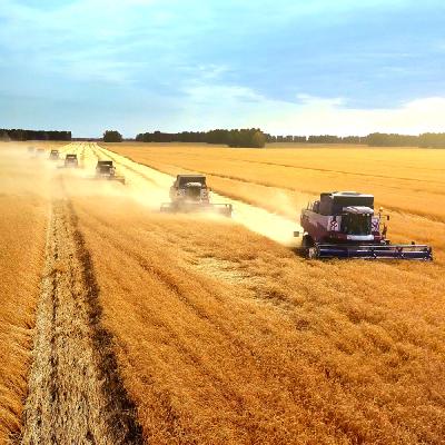 Bull Waves Don’t Break: What Rabobank’s Agri Commodity Market 2021 Outlook Means for Asia Bull Waves Don’t Break: What Rabobank’s Agri Commodity Market 2021 Outlook Means for Asia