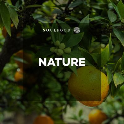 Episode 10.12 - Nature