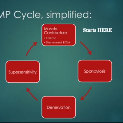 REPLAY: CI: Chronic Pain and the Radiculo-Neuropathic Myofascial Pain Model