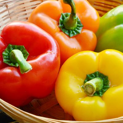 Le poivron Le poivron