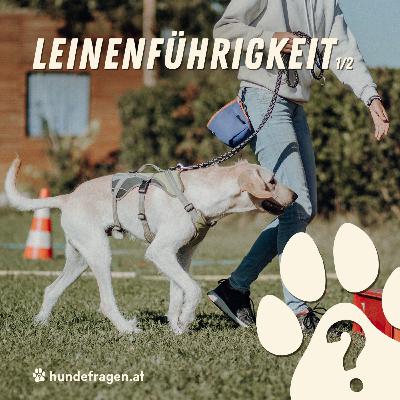 Grundlagen der Leinenführigkeit | Warum Kommunikation wichtiger ist als jedes Equipment | Folge 1/2 | INTERVIEW mit Ines