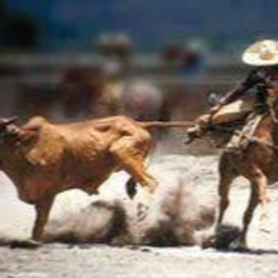 Farewell and Rodeos Farewell and Rodeos