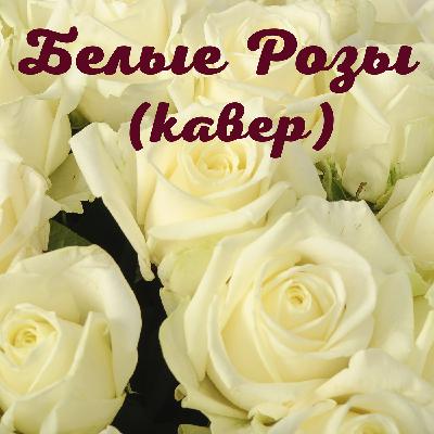 Белые Розы (Собственное исполнение студия)