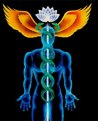 Alchemical Circulation of the Light