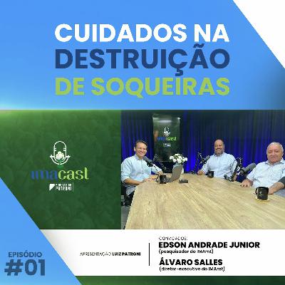 #001 - IMACAST | Cuidados na destruição de soqueiras #001 - IMACAST | Cuidados na destruição de soqueiras