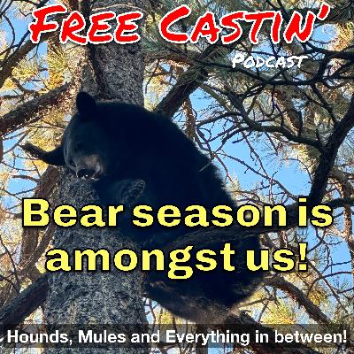 Bear Season is amongst us!